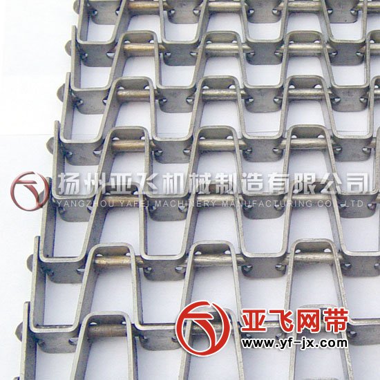 涂裝設(shè)備網(wǎng)帶1